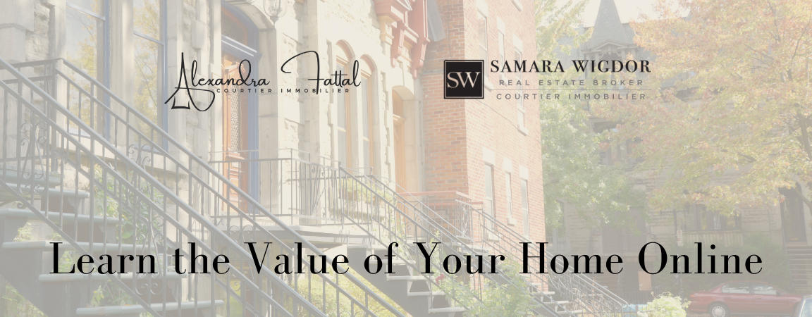 Cópia de Header Newsletter Samara Cópia de Header Newsletter Samara